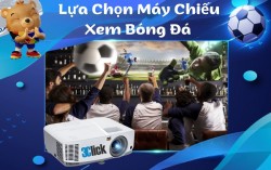 Lựa Chọn Máy Chiếu Xem Bóng Đá Euro 2024