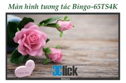 Màn hình tương tác Bingo-65TS4K
