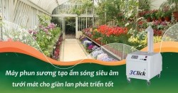 Máy phun sương tạo ẩm sóng siêu âm cho giàn lan