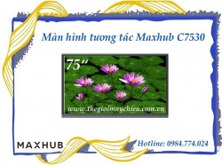 Màn hình tương tác Maxhub C7530