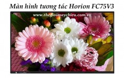 Màn hình tương tác Horion FC75V3