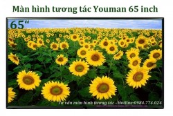 Màn hình tương tác Youman 65 inch