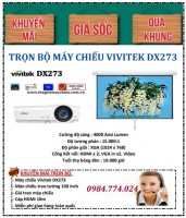 Trọn bộ máy chiếu giảng dạy Vivitek DX273