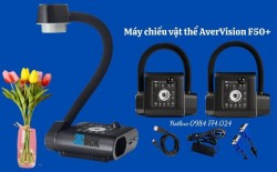 Máy chiếu vật thể AverVision F50+