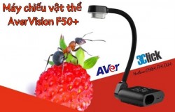 Máy chiếu vật thể AverVision F50+