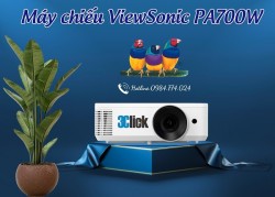 Máy chiếu Viewsonic PA700W