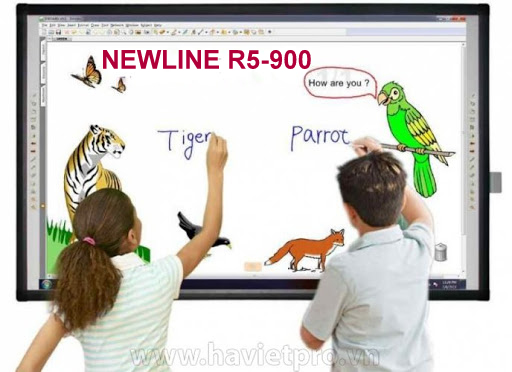 Bảng tương tác Newline R5-900